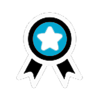 Innovation Coin Award